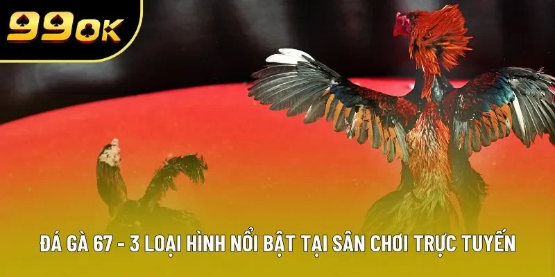Đá Gà 67 - 3 Loại Hình Nổi Bật Tại Sân Chơi Trực Tuyến